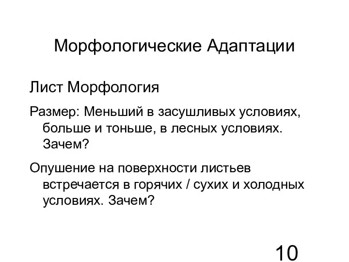 Морфологические Адаптации Лист Морфология Размер: Меньший в засушливых условиях, больше и