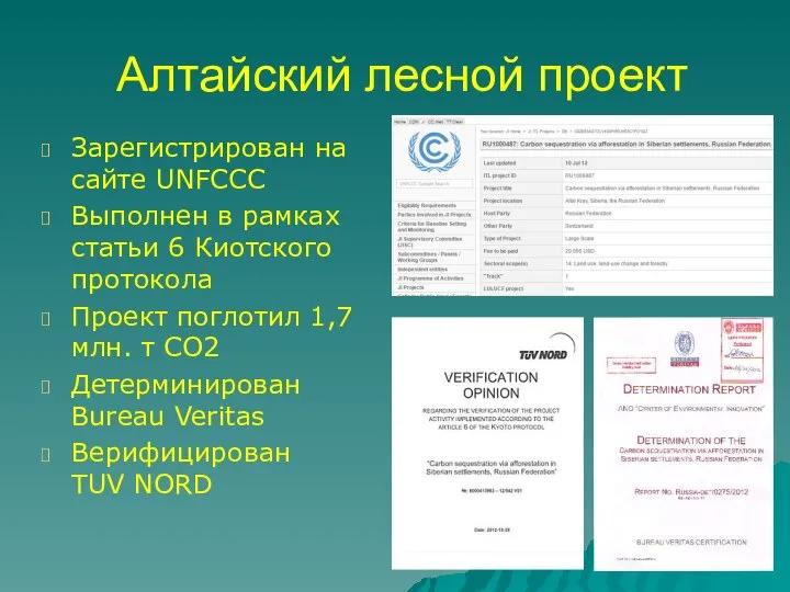 Алтайский лесной проект Зарегистрирован на сайте UNFCCC Выполнен в рамках статьи