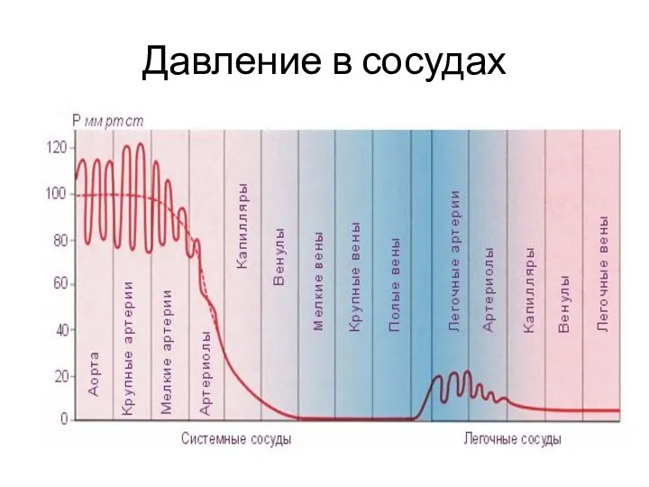 Давление в сосудах