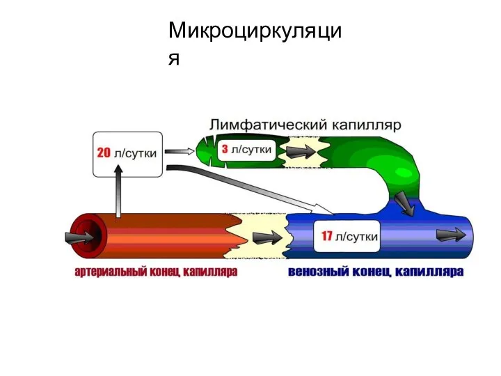 Микроциркуляция