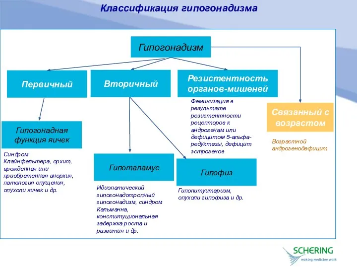 Классификация гипогонадизма Гипогонадизм Связанный с возрастом Первичный Резистентность органов-мишеней Гипогонадная функция