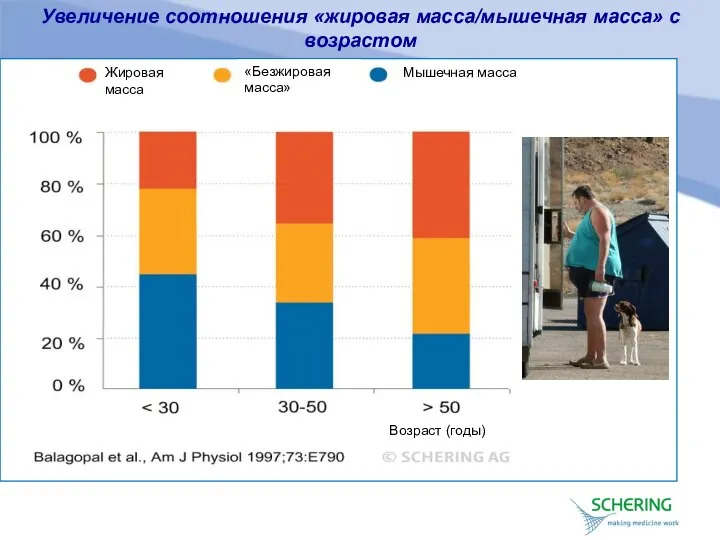 Увеличение соотношения «жировая масса/мышечная масса» с возрастом