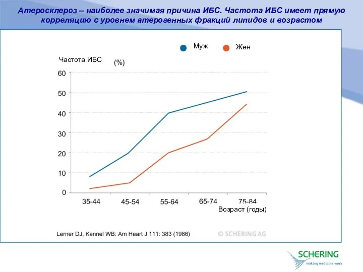 Атеросклероз – наиболее значимая причина ИБС. Частота ИБС имеет прямую корреляцию