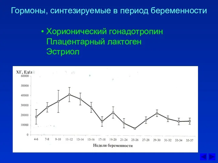 Гормоны, синтезируемые в период беременности Хорионический гонадотропин Плацентарный лактоген Эстриол