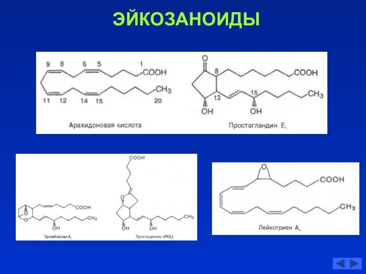 ЭЙКОЗАНОИДЫ