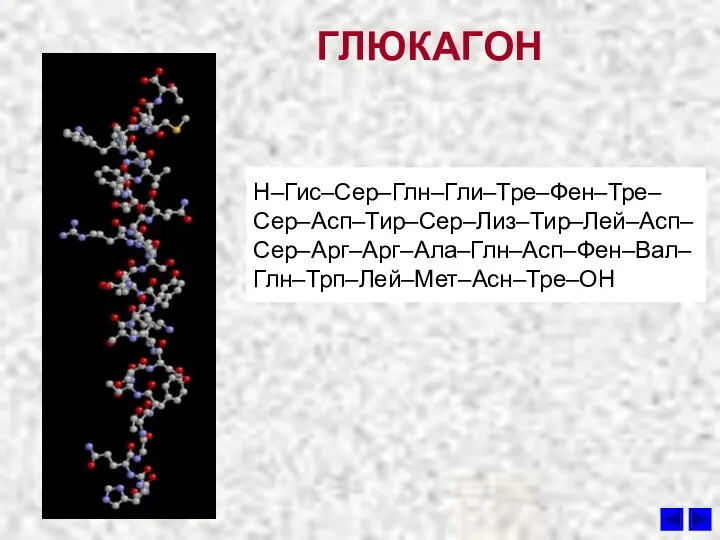 ГЛЮКАГОН Н–Гис–Сер–Глн–Гли–Тре–Фен–Тре–Сер–Асп–Тир–Сер–Лиз–Тир–Лей–Асп–Сер–Aрг–Aрг–Ала–Глн–Асп–Фен–Вал–Глн–Трп–Лей–Мет–Асн–Тре–ОН