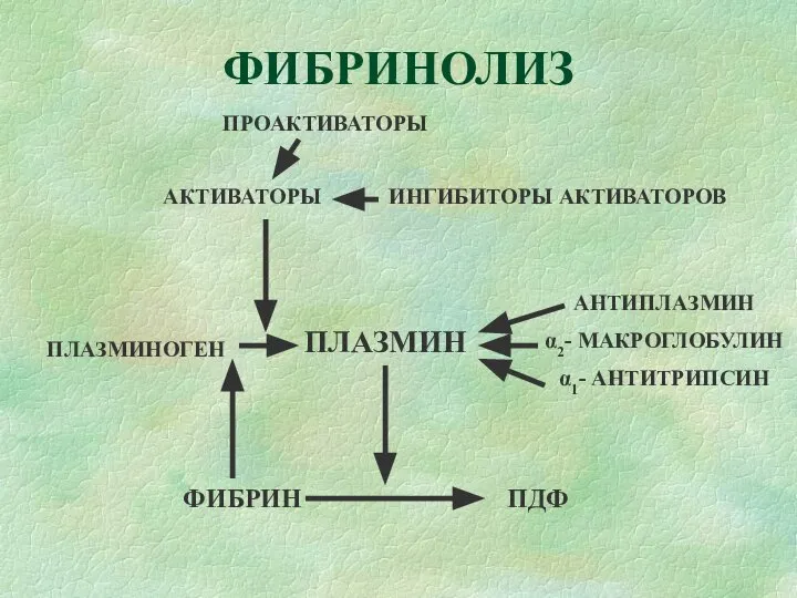 ФИБРИНОЛИЗ ПРОАКТИВАТОРЫ АКТИВАТОРЫ ИНГИБИТОРЫ АКТИВАТОРОВ ПЛАЗМИНОГЕН ПЛАЗМИН АНТИПЛАЗМИН α2- МАКРОГЛОБУЛИН α1- АНТИТРИПСИН ФИБРИН ПДФ