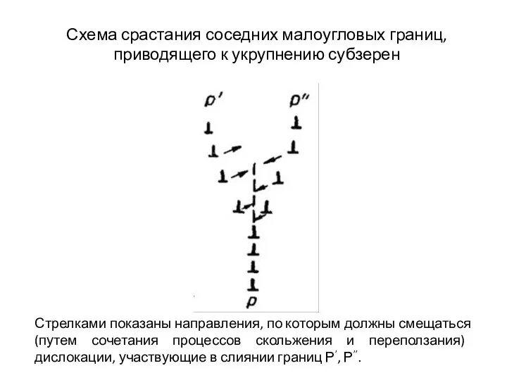 Схема срастания соседних малоугловых границ, приводящего к укрупнению субзерен Стрелками показаны