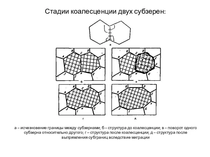 Стадии коалесценции двух субзерен: а – исчезновение границы между субзернами; б