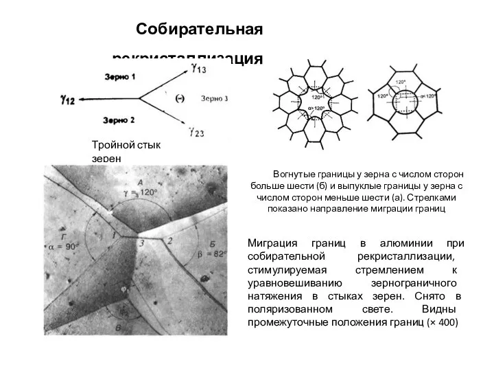 Собирательная рекристаллизация Тройной стык зерен Вогнутые границы у зерна с числом