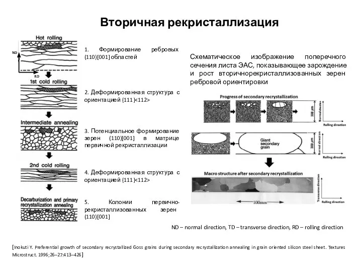 Вторичная рекристаллизация Схематическое изображение поперечного сечения листа ЭАС, показывающее зарождение и