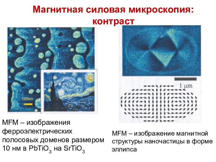 Магнитная силовая микроскопия: контраст MFM – изображение магнитной структуры наночастицы в