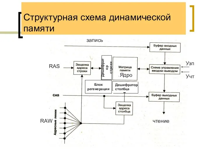 Структурная схема динамической памяти Блок регенерации RAS RAW Дешифратор столбца Дешифратор