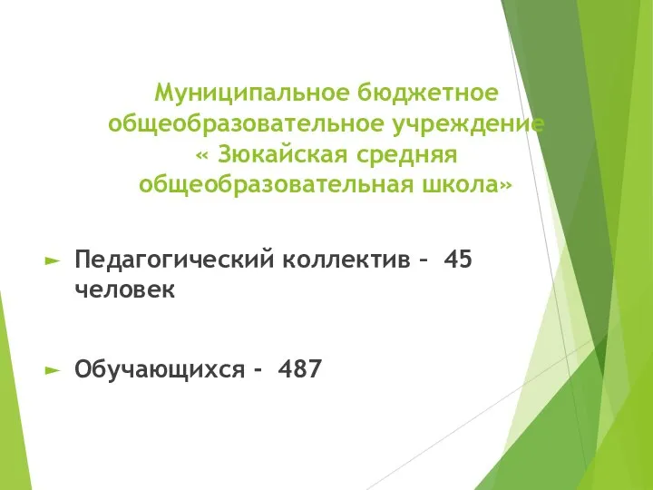 Муниципальное бюджетное общеобразовательное учреждение « Зюкайская средняя общеобразовательная школа» Педагогический коллектив