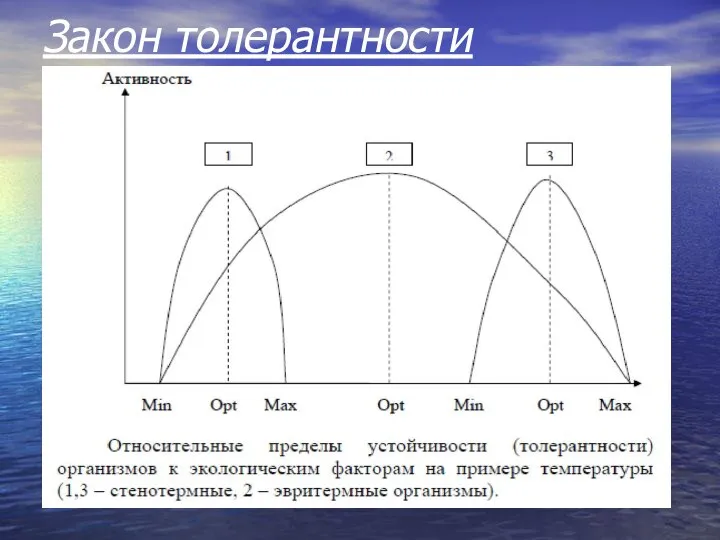 Закон толерантности