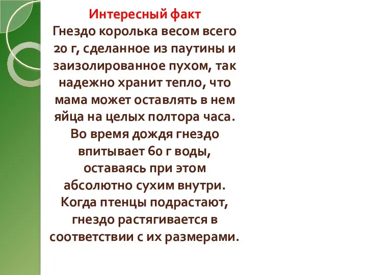 Интересный факт Гнездо королька весом всего 20 г, сделанное из паутины