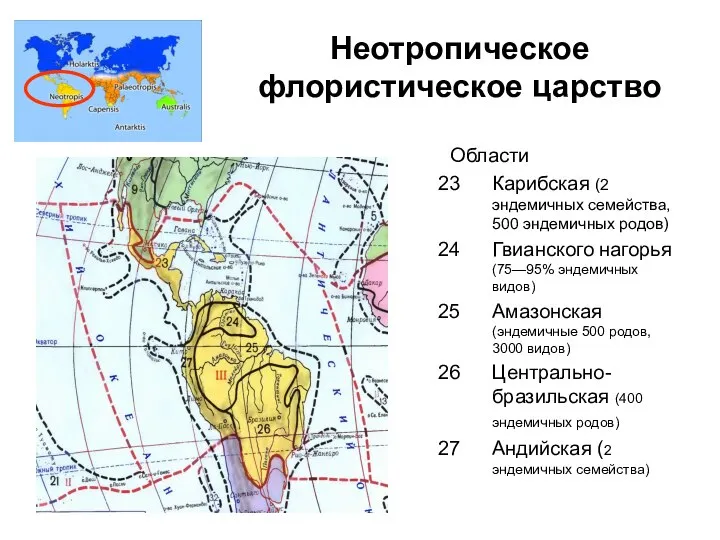 Неотропическое флористическое царство Области Карибская (2 эндемичных семейства, 500 эндемичных родов)