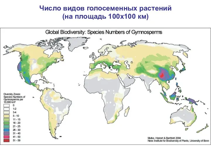 Число видов голосеменных растений (на площадь 100х100 км)