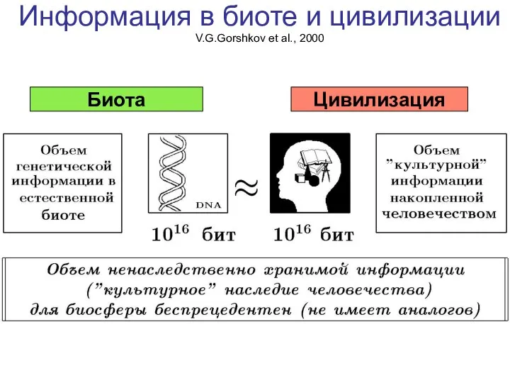 Информация в биоте и цивилизации V.G.Gorshkov et al., 2000 Биота Цивилизация