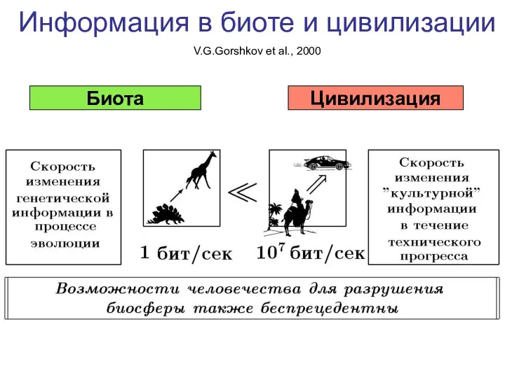 Информация в биоте и цивилизации V.G.Gorshkov et al., 2000 Биота Цивилизация