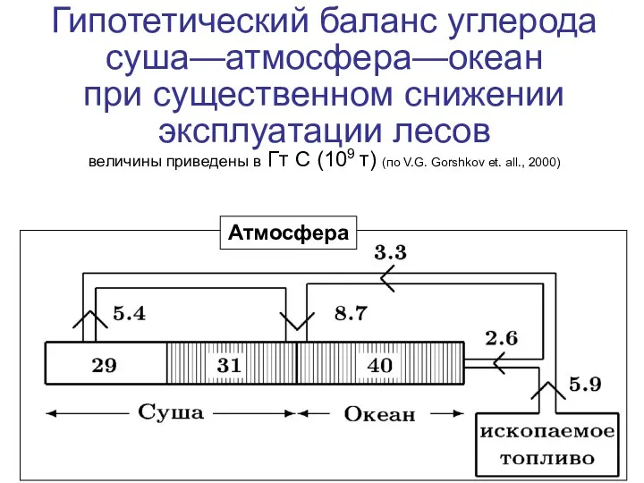 Гипотетический баланс углерода суша—атмосфера—океан при существенном снижении эксплуатации лесов величины приведены