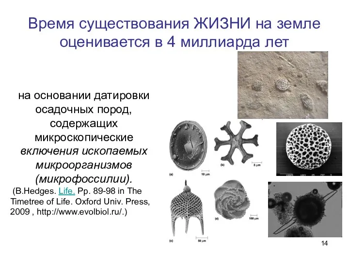 Время существования ЖИЗНИ на земле оценивается в 4 миллиарда лет на