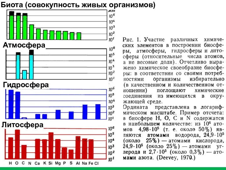 Биота (совокупность живых организмов) Атмосфера Гидросфера Литосфера