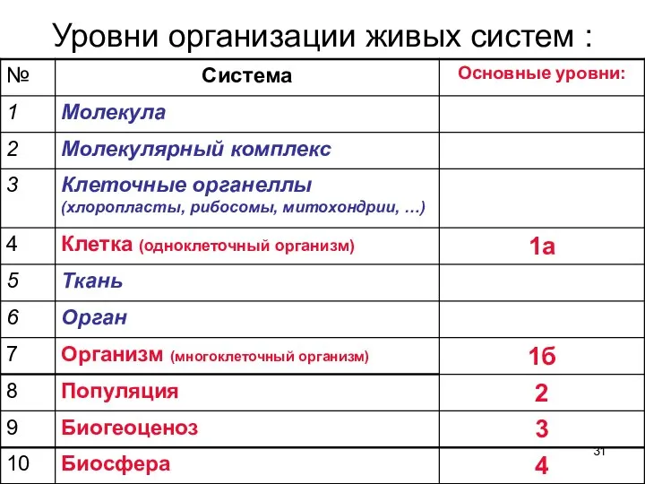 Уровни организации живых систем :