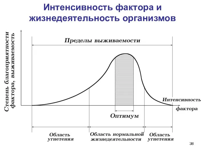 Интенсивность фактора и жизнедеятельность организмов