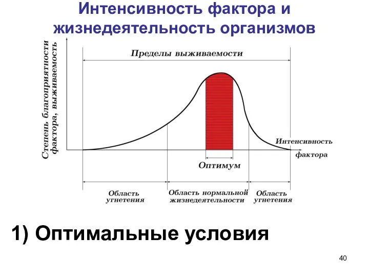 Интенсивность фактора и жизнедеятельность организмов 1) Оптимальные условия