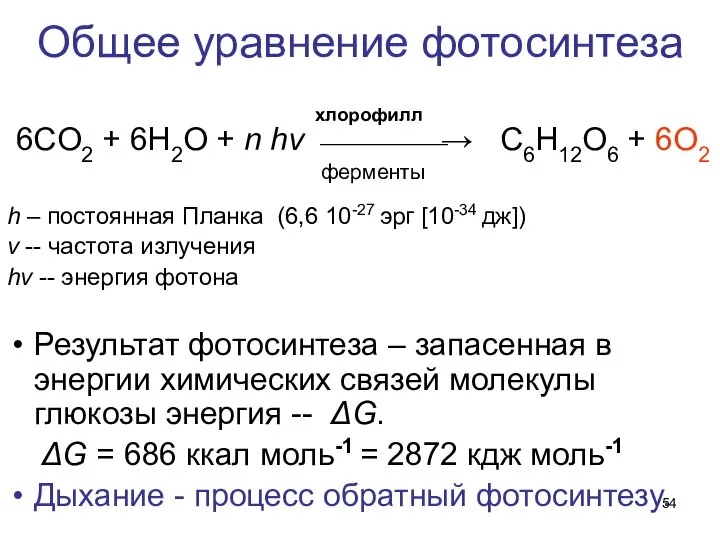 Общее уравнение фотосинтеза хлорофилл 6СO2 + 6H2O + n hν ⎯⎯⎯⎯→