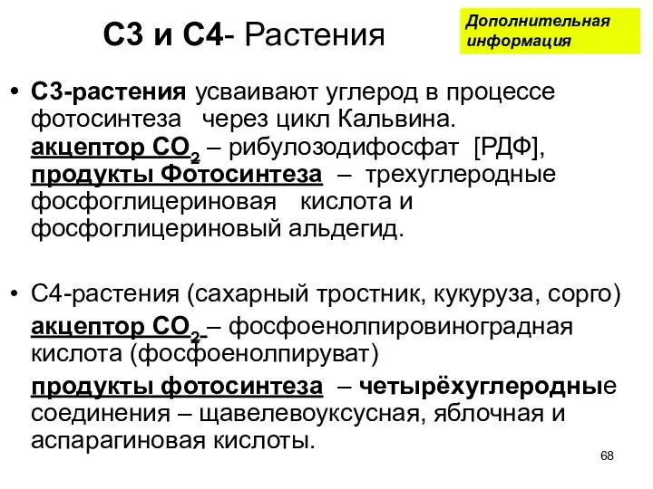 С3 и С4- Растения С3-растения усваивают углерод в процессе фотосинтеза через