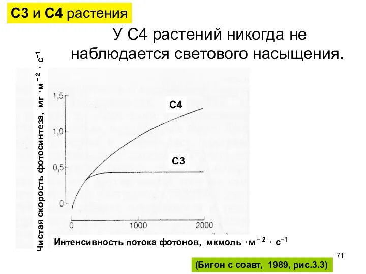 У С4 растений никогда не наблюдается светового насыщения. (Бигон с соавт,