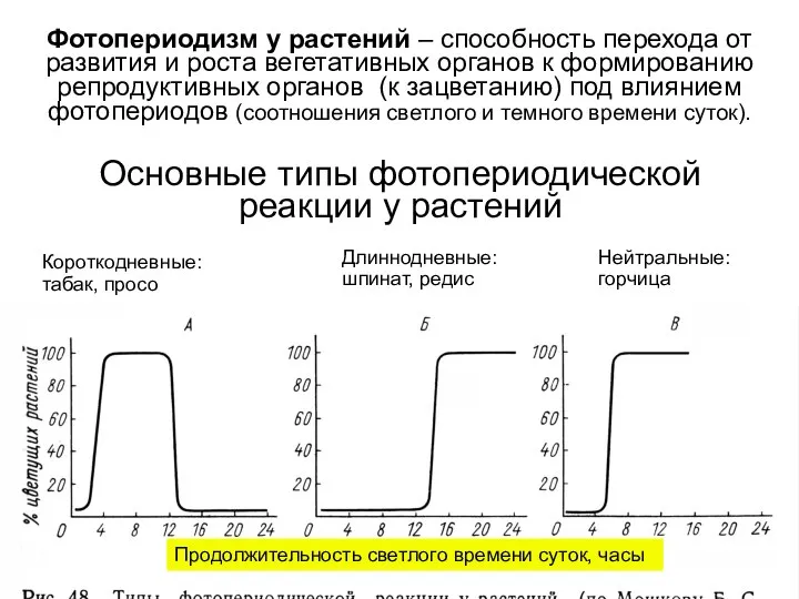 Основные типы фотопериодической реакции у растений Продолжительность светлого времени суток, часы