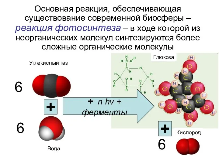 Основная реакция, обеспечивающая существование современной биосферы – реакция фотосинтеза – в