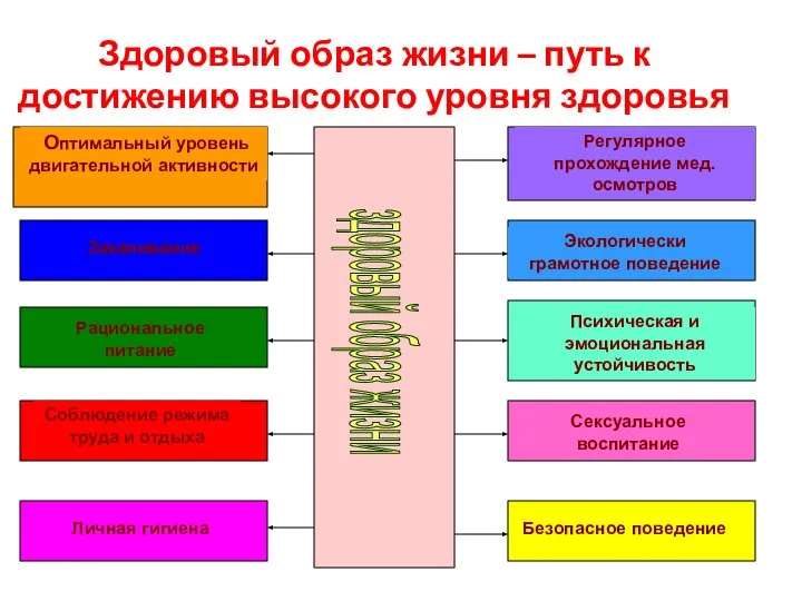 Здоровый образ жизни – путь к достижению высокого уровня здоровья здоровый образ жизни