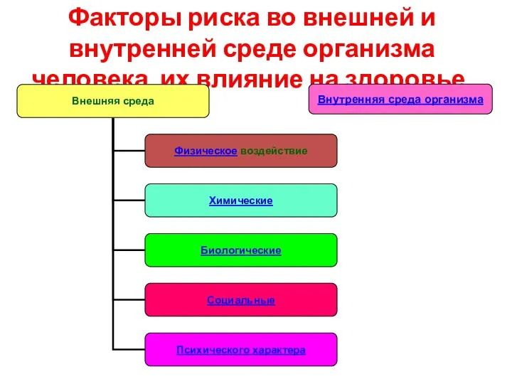 Факторы риска во внешней и внутренней среде организма человека, их влияние на здоровье. Внутренняя среда организма