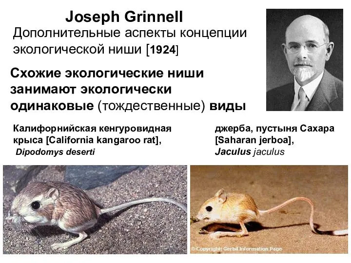 Joseph Grinnell Similar niches are filled up with ecological equivalents: Other