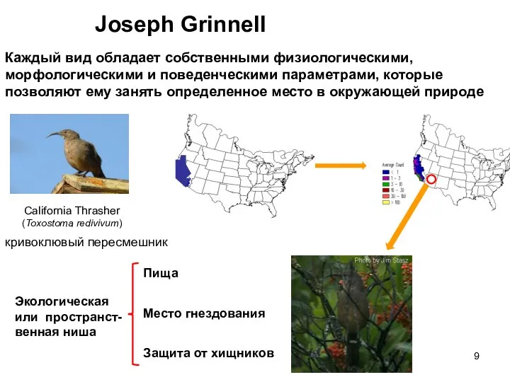 Joseph Grinnell Каждый вид обладает собственными физиологическими, морфологическими и поведенческими параметрами,