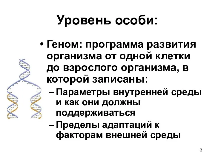 Уровень особи: Геном: программа развития организма от одной клетки до взрослого