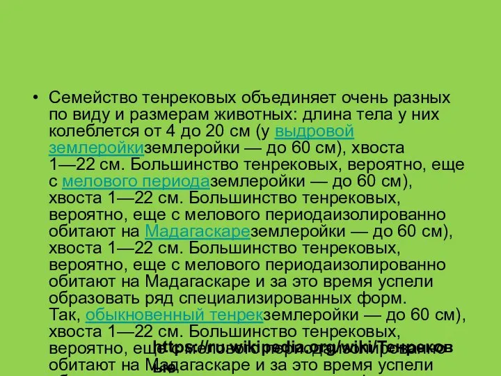 Семейство тенрековых объединяет очень разных по виду и размерам животных: длина