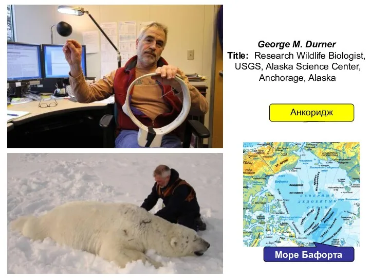 George M. Durner Title: Research Wildlife Biologist, USGS, Alaska Science Center, Anchorage, Alaska Анкоридж Море Бафорта