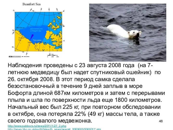 Наблюдения проведены с 23 августа 2008 года (на 7-летнюю медведицу был