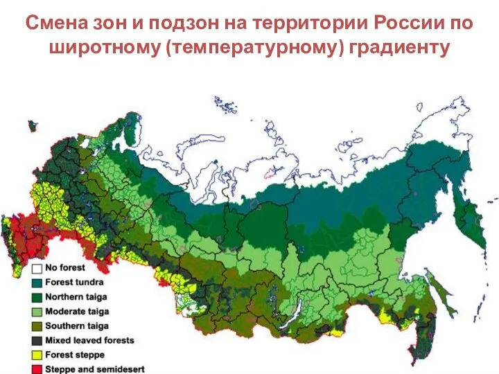 Смена зон и подзон на территории России по широтному (температурному) градиенту