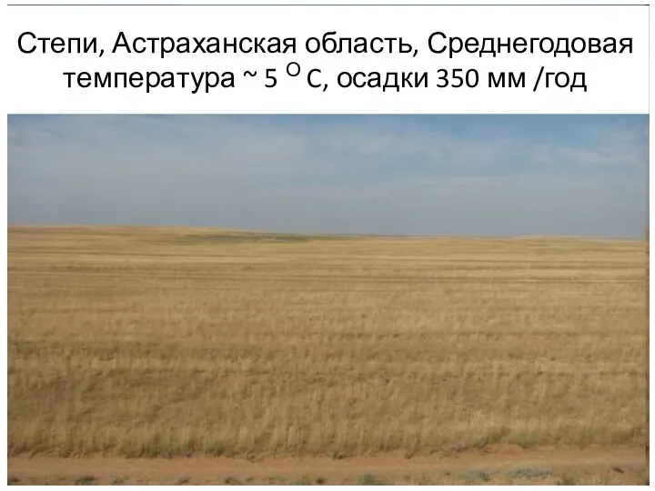 Степи, Астраханская область, Среднегодовая температура ~ 5 О C, осадки 350 мм /год