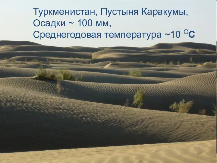 Туркменистан, Пустыня Каракумы, Осадки ~ 100 мм, Среднегодовая температура ~10 ОС