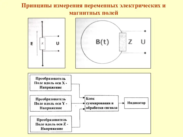 Принципы измерения переменных электрических и магнитных полей