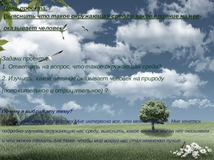 Задачи проекта: 1. Ответить на вопрос, что такое окружающая среда? 2.