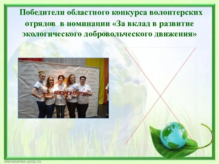 Победители областного конкурса волонтерских отрядов в номинации «За вклад в развитие экологического добровольческого движения»