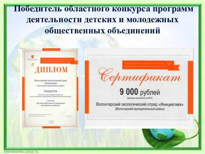 Победитель областного конкурса программ деятельности детских и молодежных общественных объединений